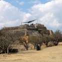 MEX OAX MonteAlban 2019APR04 018 : - DATE, - PLACES, - TRIPS, 10's, 2019, 2019 - Taco's & Toucan's, Americas, April, Day, Mexico, Monte Albán, Month, North America, Oaxaca, South Pacific Coast, Thursday, Year, Zona Arqueológica